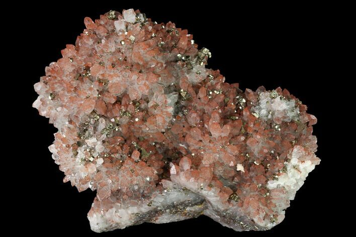 Hematite Quartz, Chalcopyrite and Pyrite Association #170282